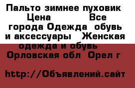 Пальто зимнее пуховик › Цена ­ 2 500 - Все города Одежда, обувь и аксессуары » Женская одежда и обувь   . Орловская обл.,Орел г.